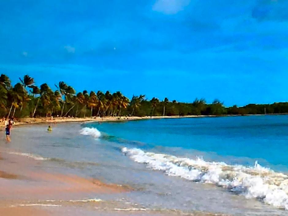 TI PARADIS DE l'ANSE FIGUIER VILLA voir site vacances en martinique