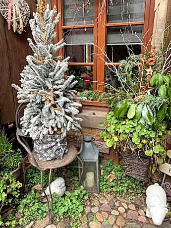 Gîte de caractère au calme , proche quartier historique, Au Merlenchanteur