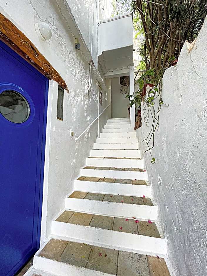 The Blue House