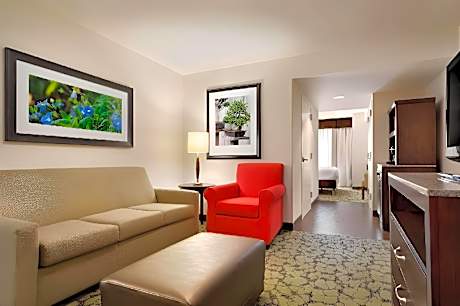 Junior King Suite with Seating Area