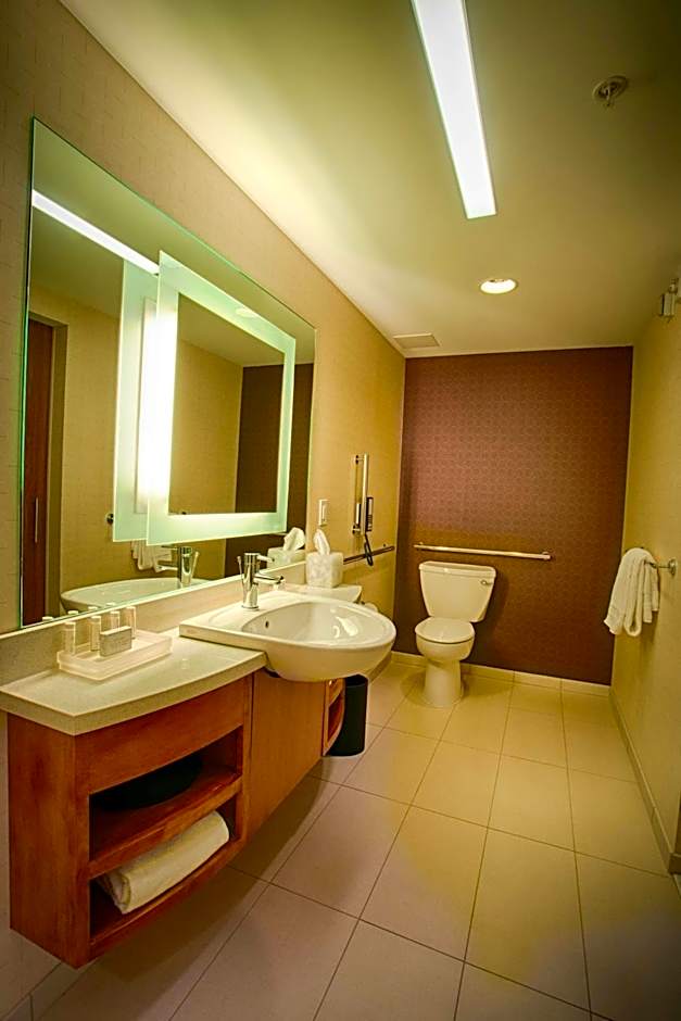 SpringHill Suites by Marriott Canton