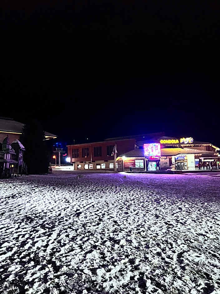 Dimitri Apartament Emerald , near Gondola