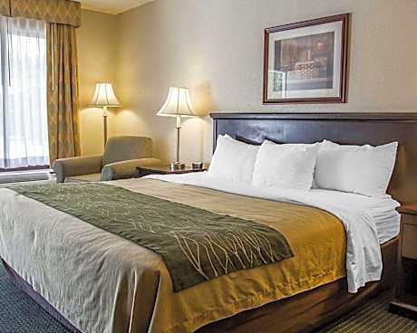 Standard Room, 1 King Bed with Sofa Bed, Non Smoking