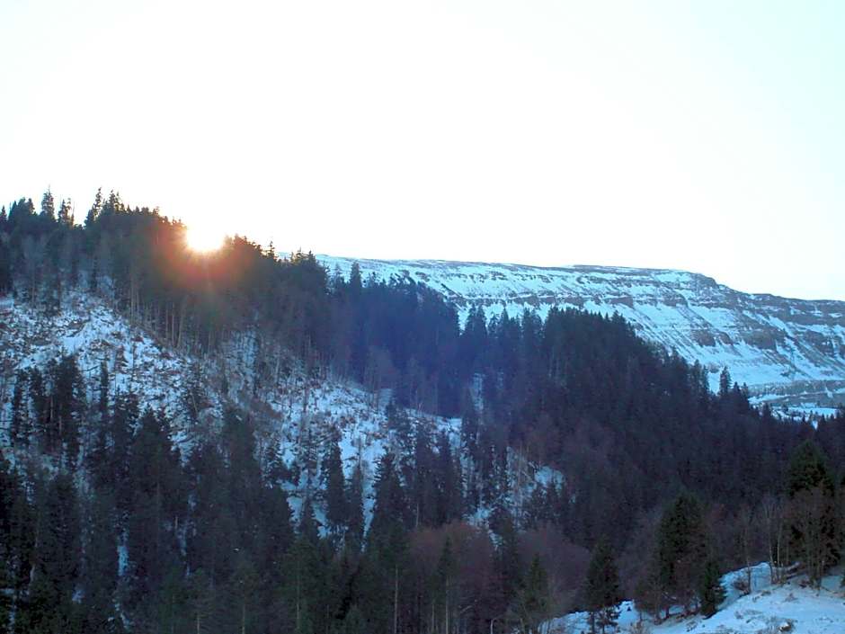 Hotel Alpina