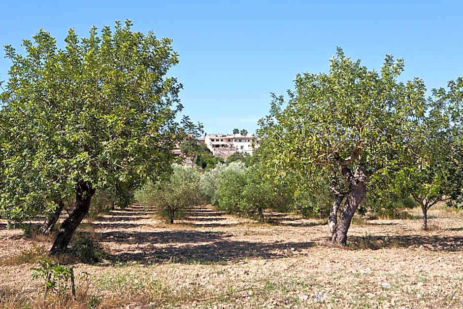 S'Hort de Son Caulelles - Adults Only