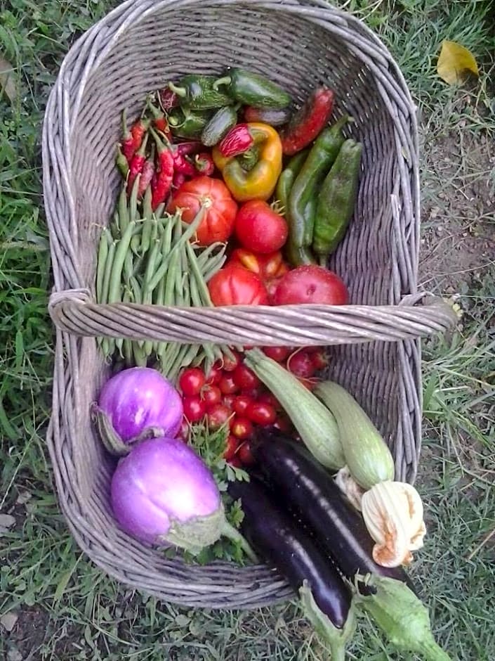 La Fattoria di Nonna Eugenia