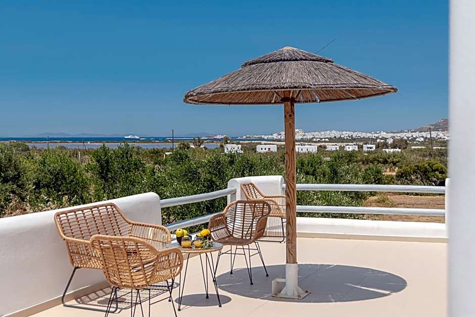 Lemonia Suites with outdoor BBQ area