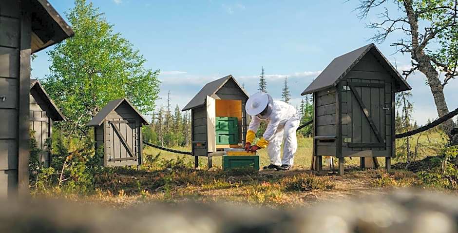 Lapland Hotels Pallas