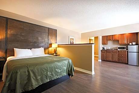 1 Queen Bed, Efficiency, Suite, Nonsmoking