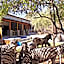 Dream of Africa Bush Lodge