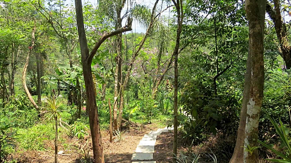 Cabanas sítio Ancestral