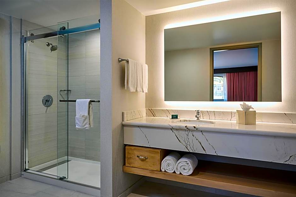 Hotel Zessa Orange County Airport, a DoubleTree by Hilton