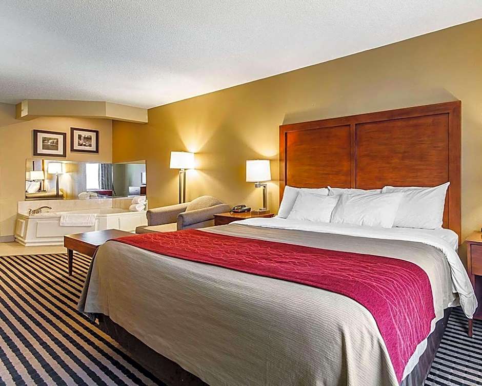 Comfort Inn Owatonna near Medical Center