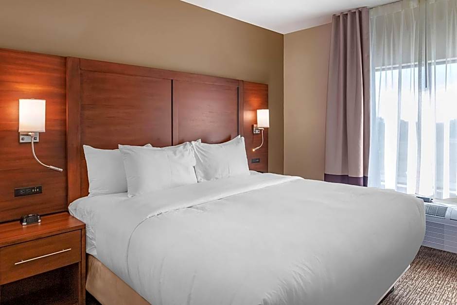 Comfort Inn & Suites Clarkston Pine Knob Area