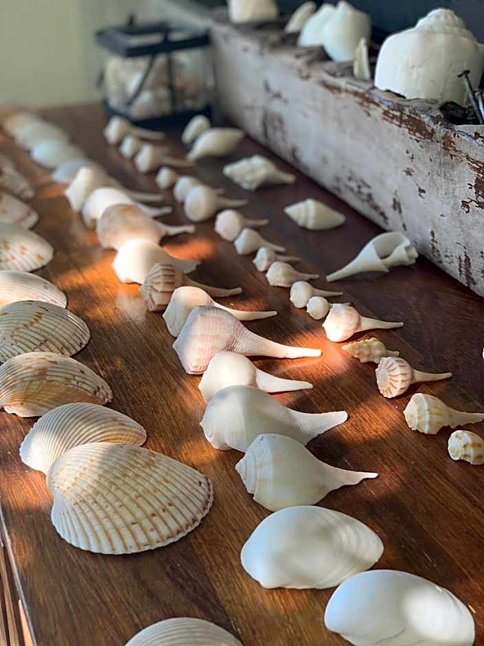 Boutique Hotel EL NIDO Holbox