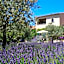 Clos des Lavandes - Chambres et Suites de charme climatisées-Luberon