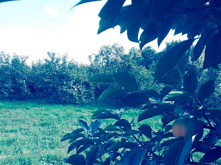 Cascina Bucolica – Alpignano, NY