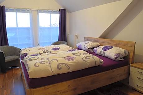 Double Room with French Balcony