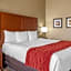 Comfort Inn & Suites Augusta
