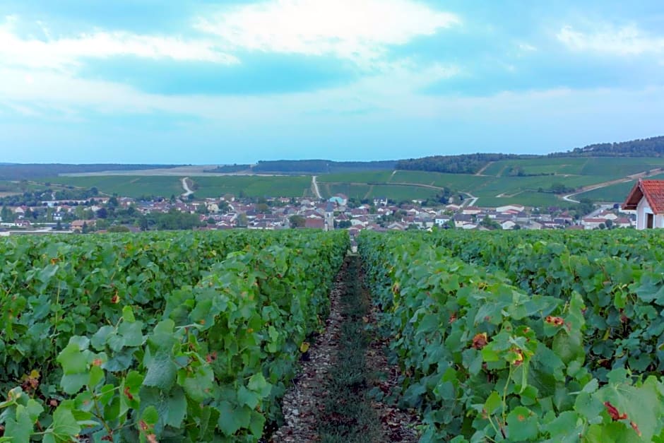 Une Parenthèse en Champagne - Chambres d'hôtes