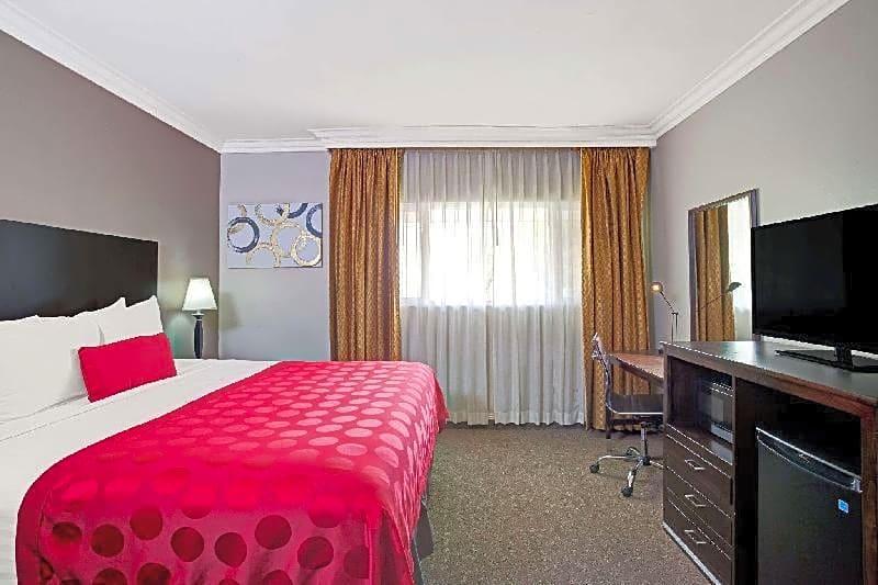 The Live Hotel