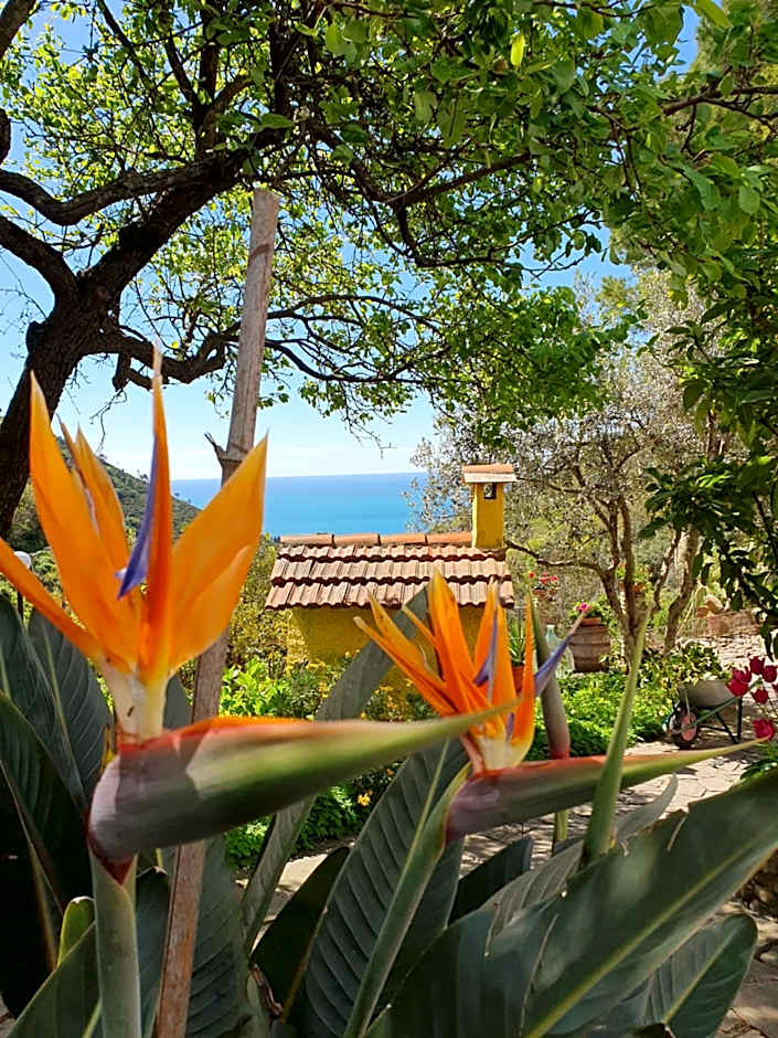 Agriturismo Costa di Campo
