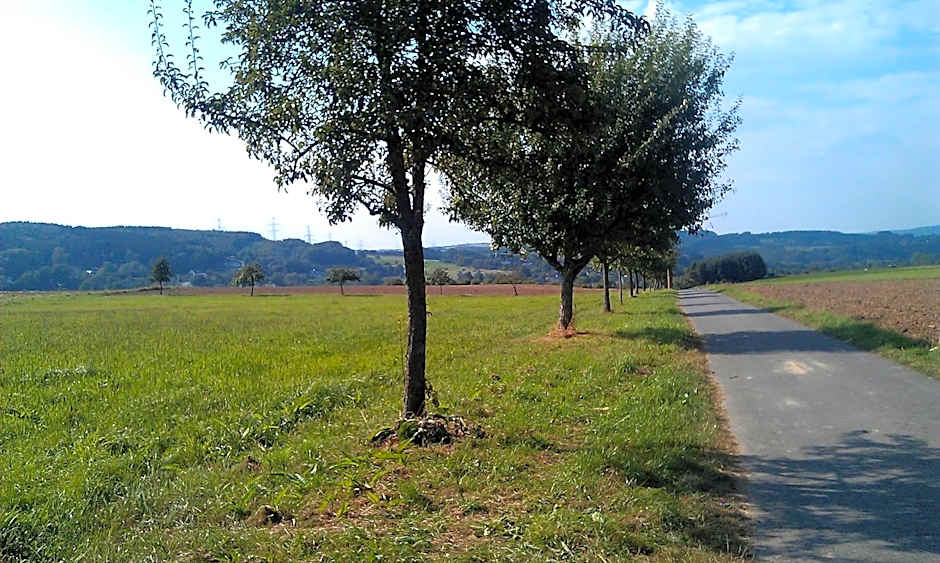 Landhaus im kühlen Grunde Garni