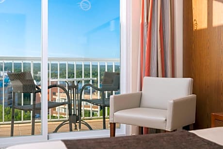 Double Room Single Use