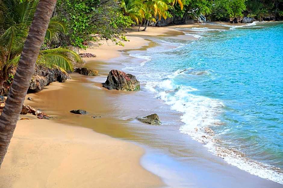 Bahia Principe Grand Samana - Adults Only