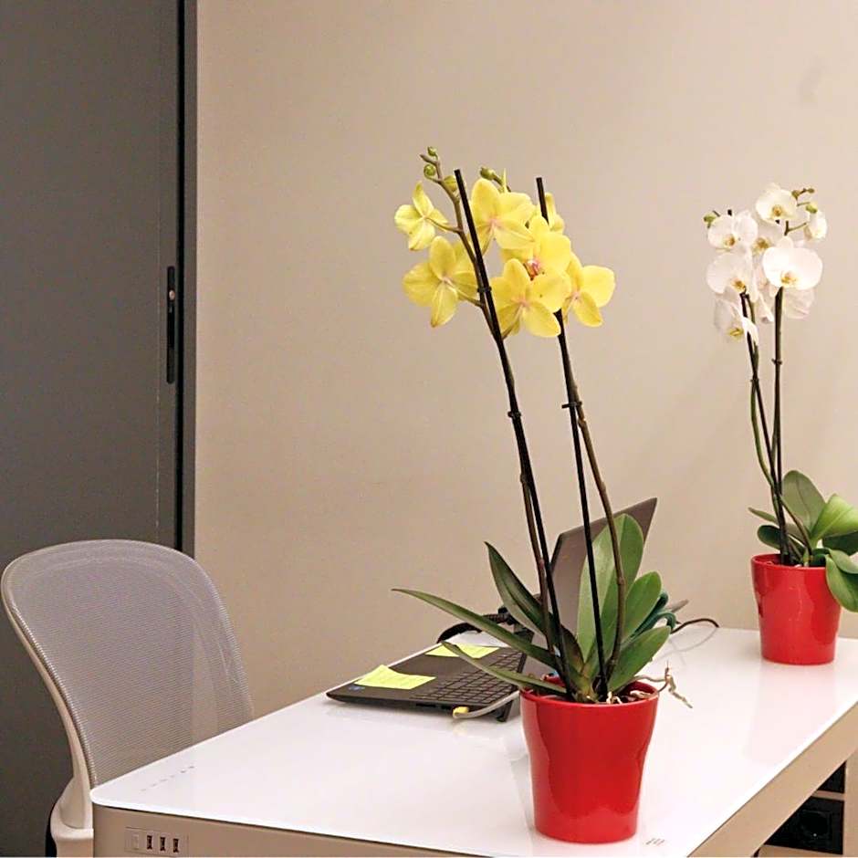 Hostal La Rúa-Montera