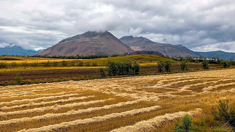 Árnanes Country Hotel