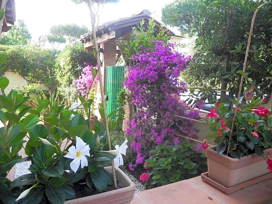 Villa Il Fortino