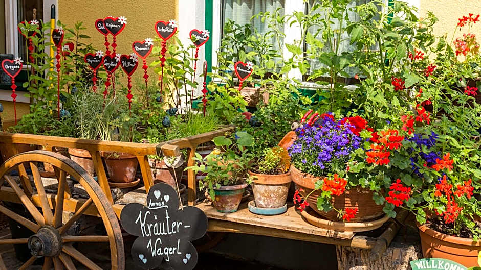 Hotel-Pension Wagnermigl