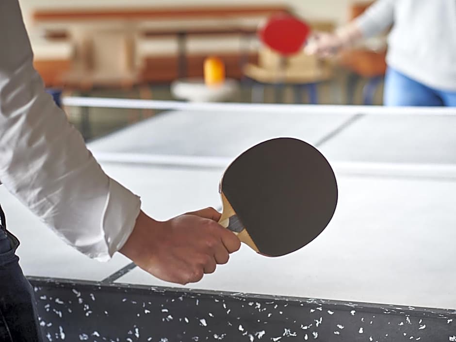 ibis budget Nancy Laxou