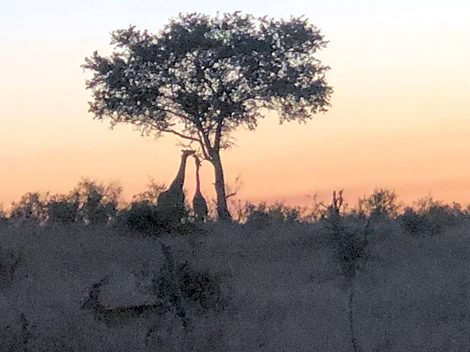 Barn Owl Lodge, Mjejane Game Reserve, Greater Kruger Park