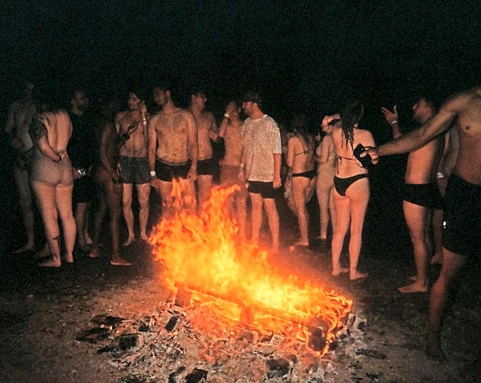 Wild Elephants Hostel