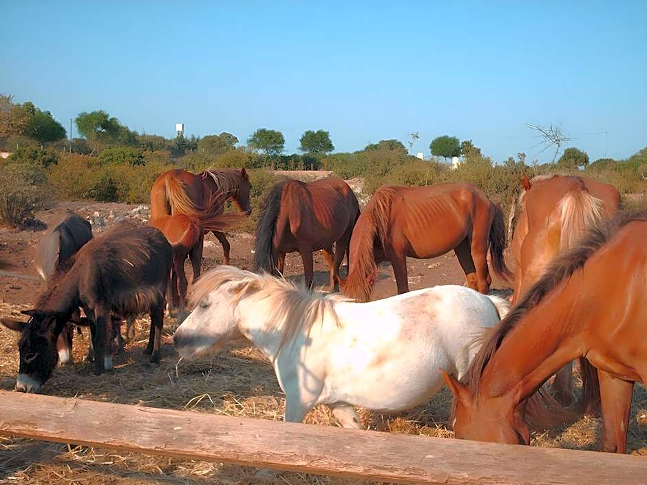 Agriturismo La Lucia