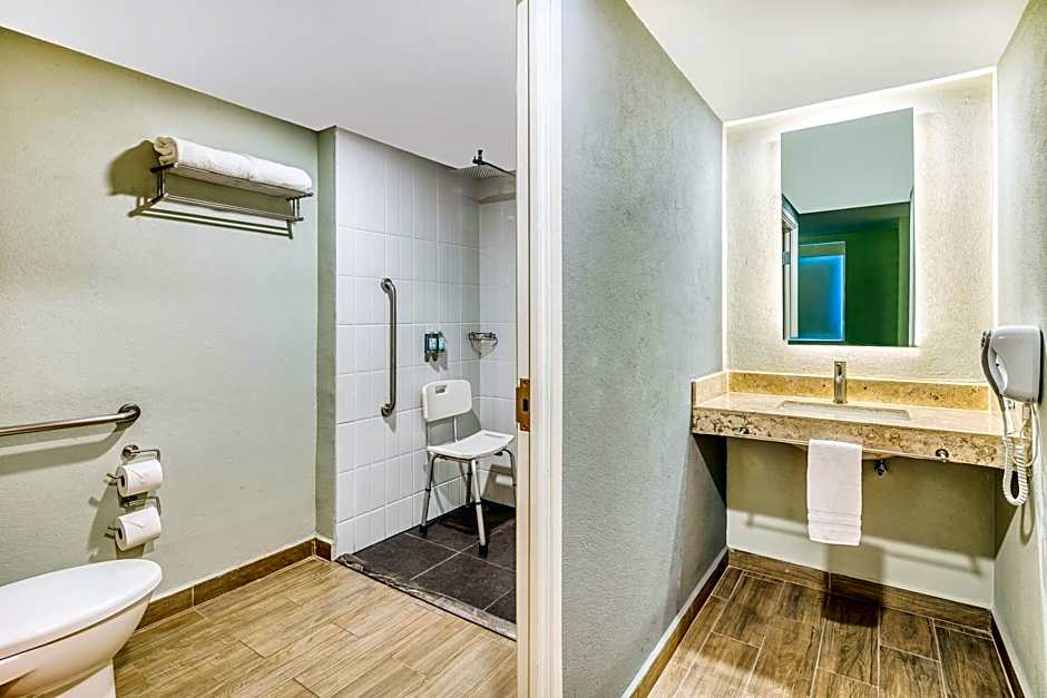 One San Luis Potosi Glorieta Juarez