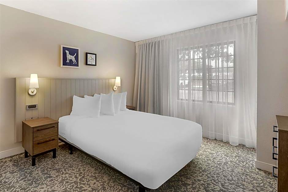 Sonesta ES Suites Austin The Domain Area
