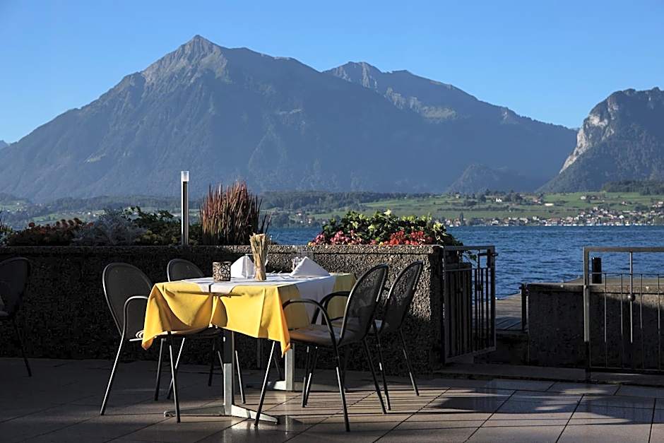 Hotel Restaurant Bellevue au Lac