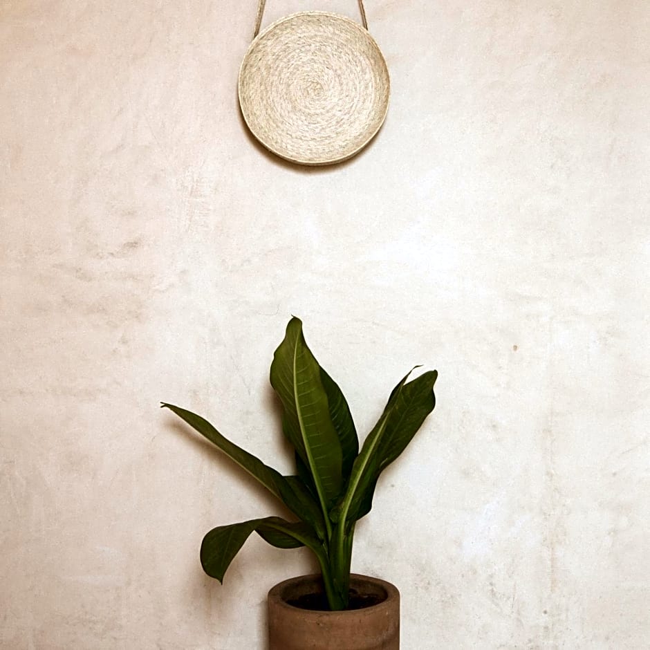 Casa Montore by Barrio Mexico