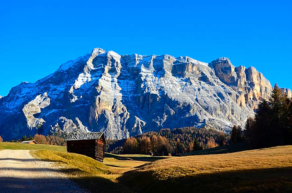 Plan Murin - Authentic Dolomites Hotel