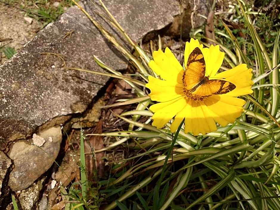 Pousada Chácara Pacheco