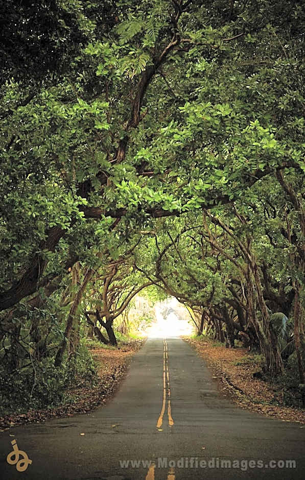 Open Gate Hostel Hawaii