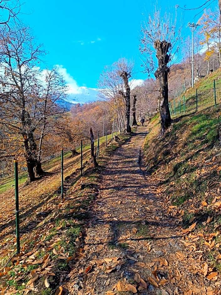 BBB Bed&Breakfast Bagneri