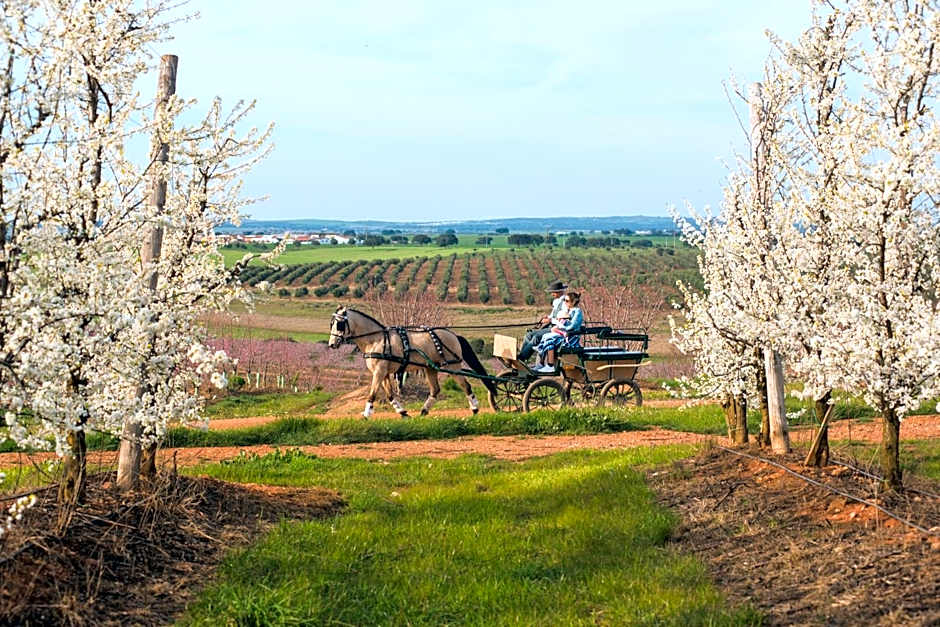 Vila Gale Collection Monte do Vilar