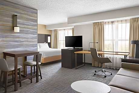 Studio Suite, 1 King Bed with Sofa bed (Mobility/Hearing Access, Transf Shwr)