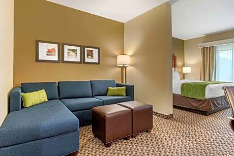 1 King Bed, Nonsmoking, Accessible