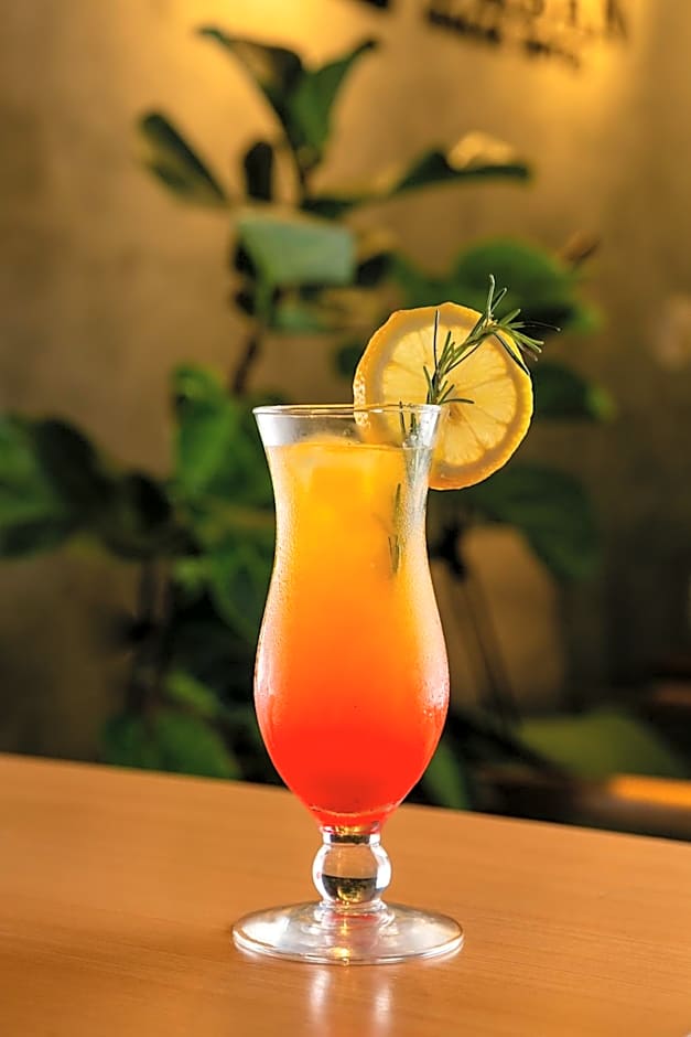 Royal Urban Macaé Hotel