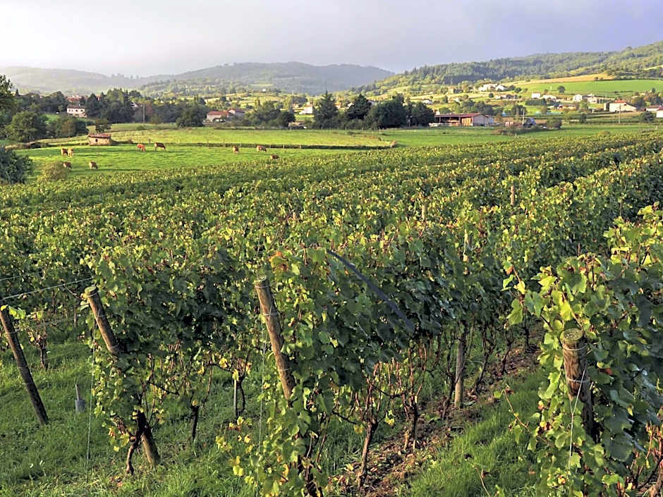 Hôtel Mercure Rodez Cathédrale